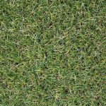 Χλοοτάπητας Economy 28mm ER2810