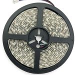 Avide LED Ταινία 12V  12W RGB+W(4000K) IP65 5m